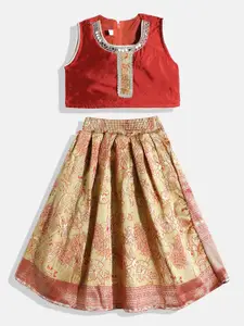 Aarika Girls Ready to Wear Lehenga & Choli With Sequinned Detail
