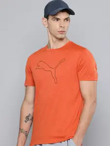 Puma dryCELL Heather Cat Logo Printed Training T-shirt