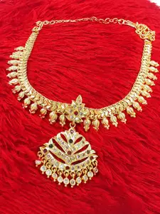 Anujeet Fashion Hub Gold Plated American Diamond Studded Necklace