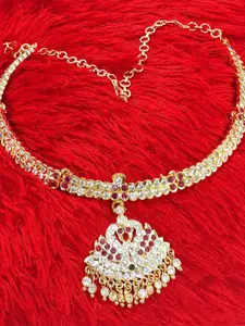 Anujeet Fashion Hub Gold-Plated American Diamond Necklace