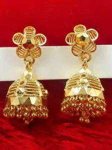 Anujeet Fashion Hub Gold-Plated Dome Shaped Jhumkas
