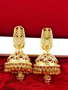 Anujeet Fashion Hub Gold-Plated Dome Shaped Jhumkas
