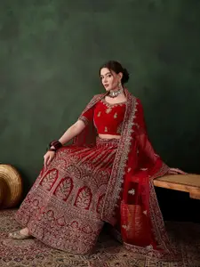 Sangria Embroidered Velvet Flared Lehenga & Unstitched Choli With Dupatta