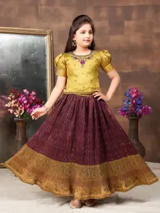 Sangria Girls Embroidered Round Neck Lehenga Choli