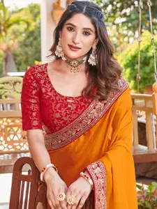 Satrani Embroidered Sequinned Pure Chiffon Saree