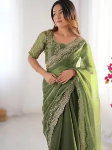 Satrani Ethnic Motifs Sequinned Pure Chiffon Saree