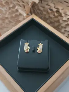 niva fashion women Earrings