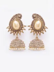 Moedbuille Gold-Toned Dome Shaped Jhumkas