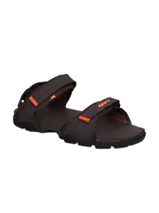 Sparx Men Brown Comfort Sandals