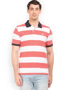 Aeropostale Men Red & White Colourblocked Polo Collar T-shirt