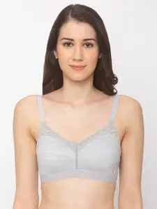 Candyskin Grey Solid Non-Wired Non Padded Everyday Bra CSB205GY