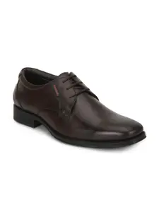 Red Chief Men Brown Solid Leather Formal Derbys