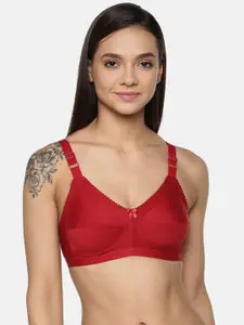 Leading Lady concent Maroon Solid Non-Wired Non Padded T-shirt Bra
