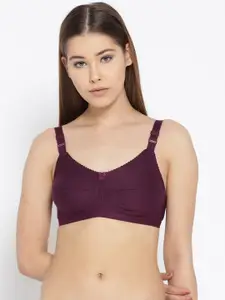 Leading Lady Concent Purple Solid Non-Wired Non Padded T-shirt Bra