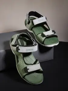 The Roadster Lifestyle Co Men Green & Grey Colorblocked Sports Sandals
