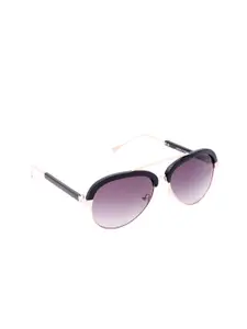 GIO COLLECTION Men Purple Browline Sunglasses GM6164C01
