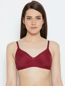 Lady Lyka Maroon Solid Non-Wired Non Padded Everyday Bra ENTIZER-11