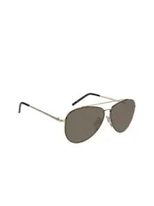 INVU Men Gold-Toned Aviator Sunglasses P1904C