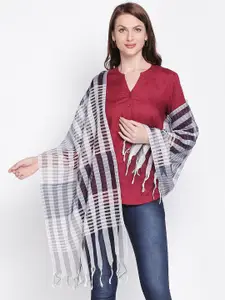 Style Quotient Women Blue Striped Scarf
