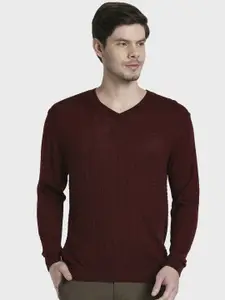 ColorPlus Men Maroon Solid Sweater