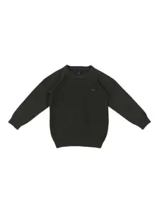 Allen Solly Junior Boys Olive Green Solid Sweater