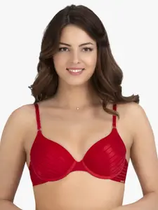 Amante Solid Padded Wired Sheer Stripes T-shirt Bra - BRA14804