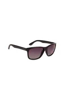 INVU Men Wayfarer Sunglasses T2709C
