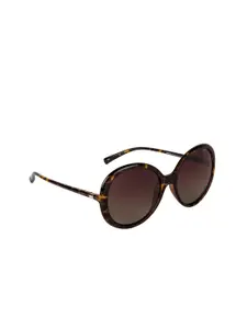 INVU Women Cateye Sunglasses B2935B