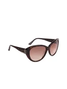 SWAROVSKI Women Brown Cateye Sunglasses SK0053 61 52F