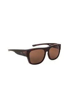 INVU Men Square Sunglasses E2802B