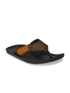 Azzaro Black Men Brown Solid Comfort Sandals