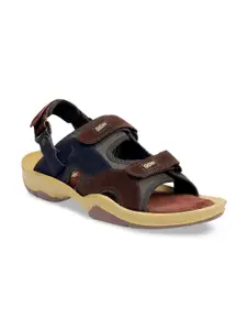 Woakers Men Brown & Charcoal Grey Colourblocked Leather Sports Sandals