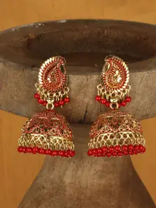 ANIKAS CREATION Red & Gold-Toned Paisley Shaped Jhumkas