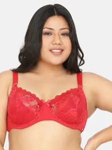 Curvy Love Red Lace Plus Size Non-Padded Underwired Plunge Bra CL-16-C20