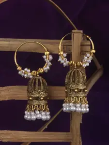 ANIKAS CREATION Gold-Toned Dome Shaped Jhumkas