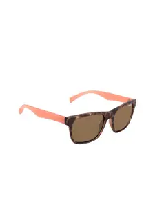 Skechers Men UV Protected Wayfarer Sunglasses SE6022 55 52E