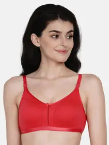 Enamor Red Solid Non-Wired Non Padded Everyday Bra A029
