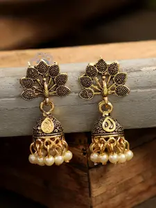 ANIKAS CREATION Gold-Plated & Black Oxidised Peacock Shaped Jhumkas