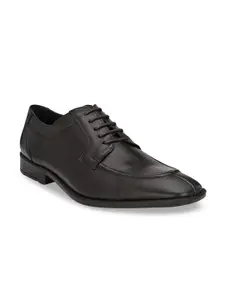 CARLO ROMANO Men Brown Derbys