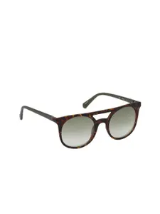 Guess Men Grey Lens & Brown UV Protected Round Sunglasses GU6926 52 52Q