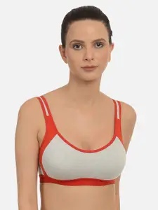 mod & shy Grey & Red Solid Non-Wired Non Padded Bralette Bra MS108M