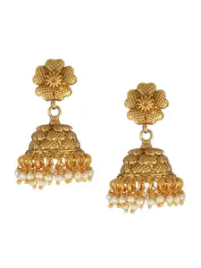 Adwitiya Collection Gold-Toned Contemporary Jhumkas