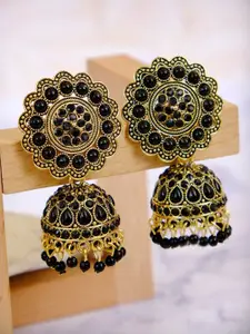 Crunchy Fashion Black Dome Shaped Jhumkas Earrings