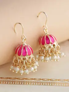 Shoshaa Gold Contemporary Jhumkas Earrings