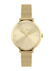 Lacoste Women Gold Brass Embellished Dial Bracelet Style Straps Analogue Watch 2001166