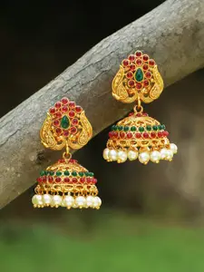 Adwitiya Collection Gold Contemporary Jhumkas Earrings