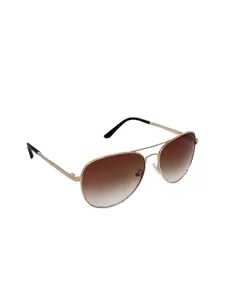 GIO COLLECTION Men Brown & Gold-Toned Aviator Sunglasses with UV Protected Lens-GM6129C10