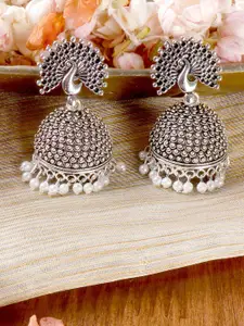 TEEJH Silver-Plated Dome Shaped Jhumkas Earrings
