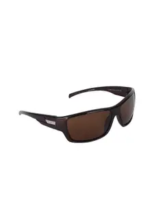 Walrus Men Brown Lens & Black Sports Sunglasses with UV Protected Lens