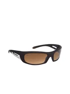Walrus Men Brown Lens & Brown Sports Sunglasses with UV Protected Lens WSGM-BDN-090909